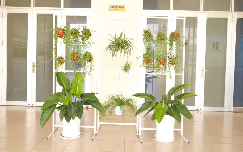 Phong Trào Thi Đua Xây Dựng Hiệp Phước Xanh Lần 1/2020 | Hiep Phuoc 工业园区股份公司