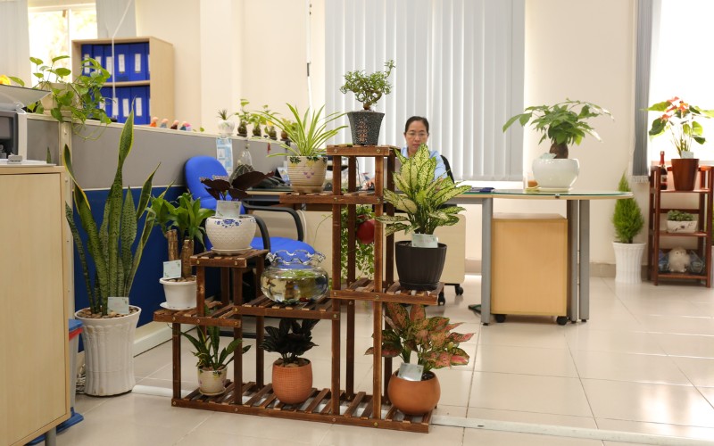 Phong Trào Thi Đua Xây Dựng Hiệp Phước Xanh Lần 1/2020 | Hiep Phuoc 工业园区股份公司