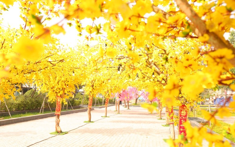 Spring Festival 2021